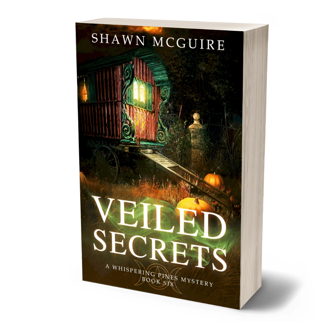 Paperback cover of 'Veiled Secrets' by Shawn McGuire