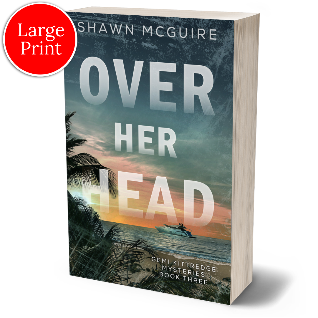 E-book cover on e-reader of Shawn McGuire's murder mystery featuring a view from the beach of a yacht on the ocean.