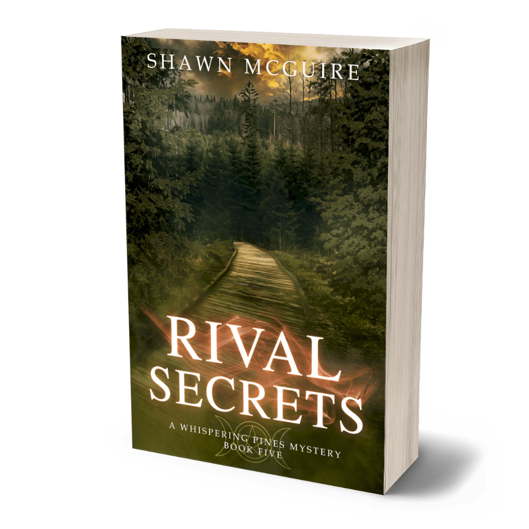 Paperback cover of 'Rival Secrets' by Shawn McGuire