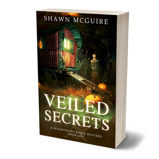 Paperback cover of 'Veiled Secrets' by Shawn McGuire