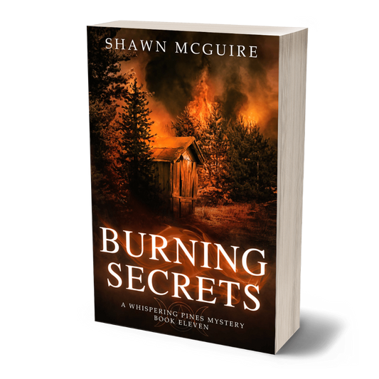 Paperback cover of 'Burning Secrets' by Shawn McGuire