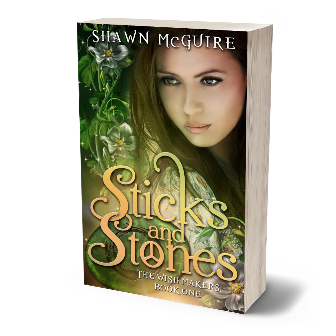 Paperback cover of 'Sticks and Stones' by Shawn McGuire