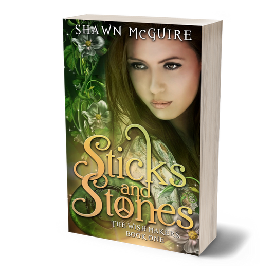 Paperback cover of 'Sticks and Stones' by Shawn McGuire