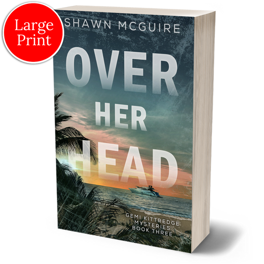 E-book cover on e-reader of Shawn McGuire's murder mystery featuring a view from the beach of a yacht on the ocean.